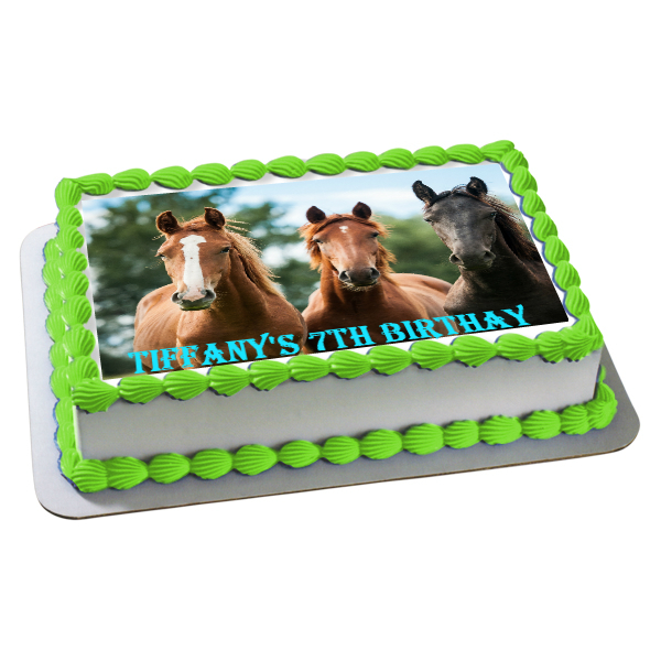 Horse Birthday Party Supplies Canada - Open A Party