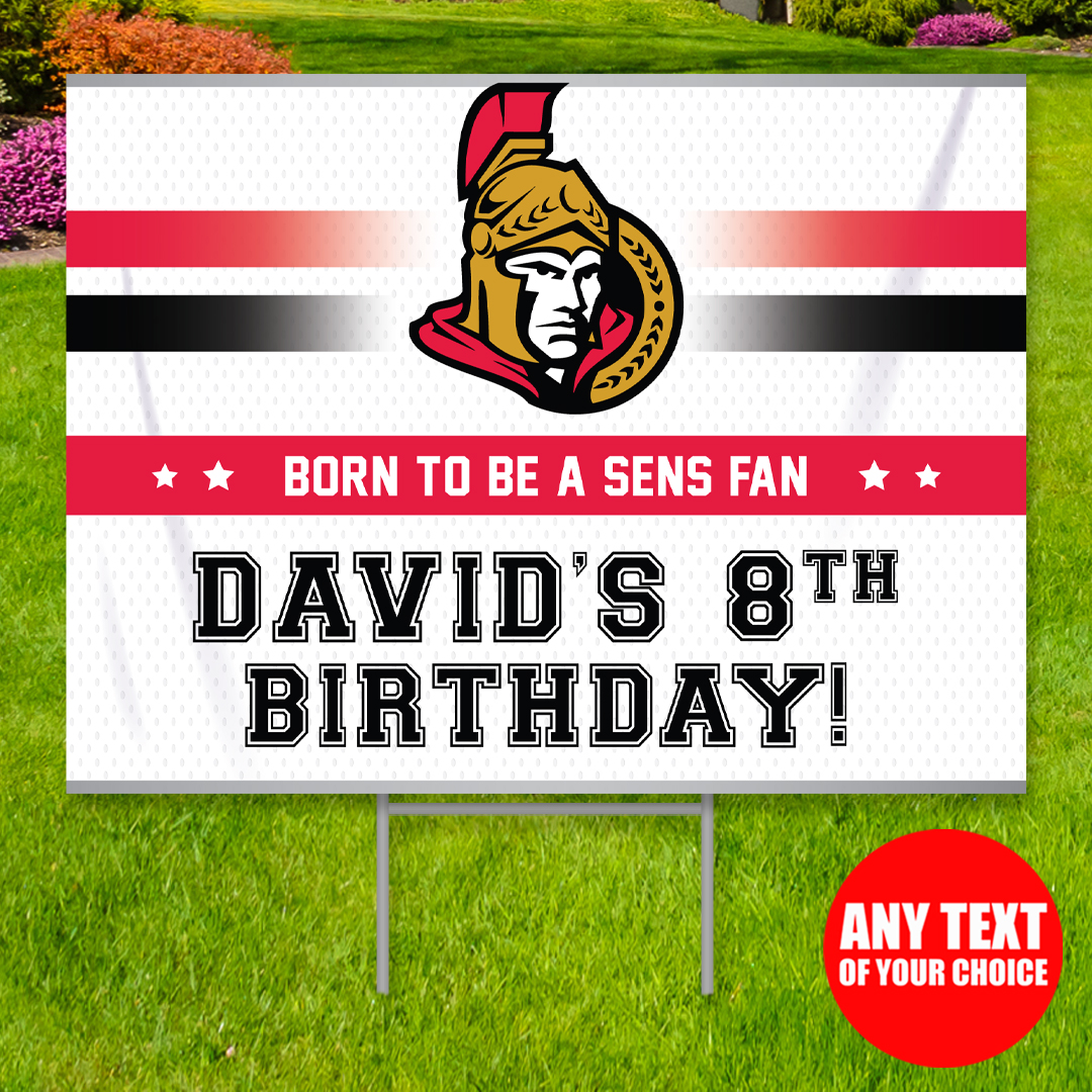 Ottawa Senators on X: Today's Gameday Feature is Sparty-themed to  celebrate Sparty's Birthday Party! 🥳 Check out the Ottawa Team Shop now 👇  SHOP:   / X