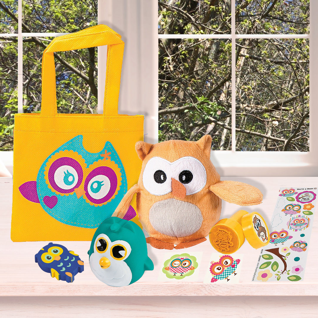 Owl Birthday Party Supplies Party Supplies Canada Open A Party