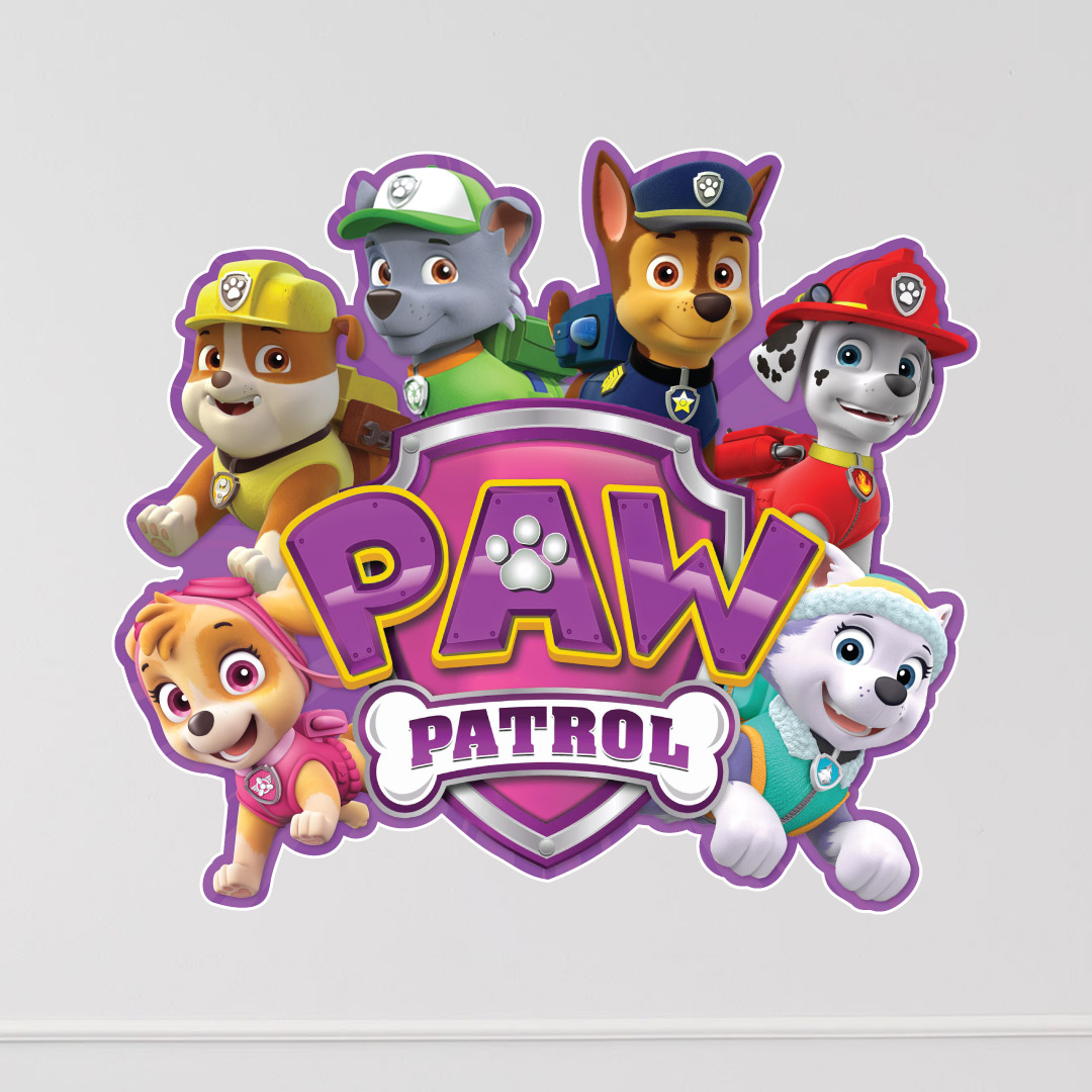 Paw Patrol Girl Party Supplies