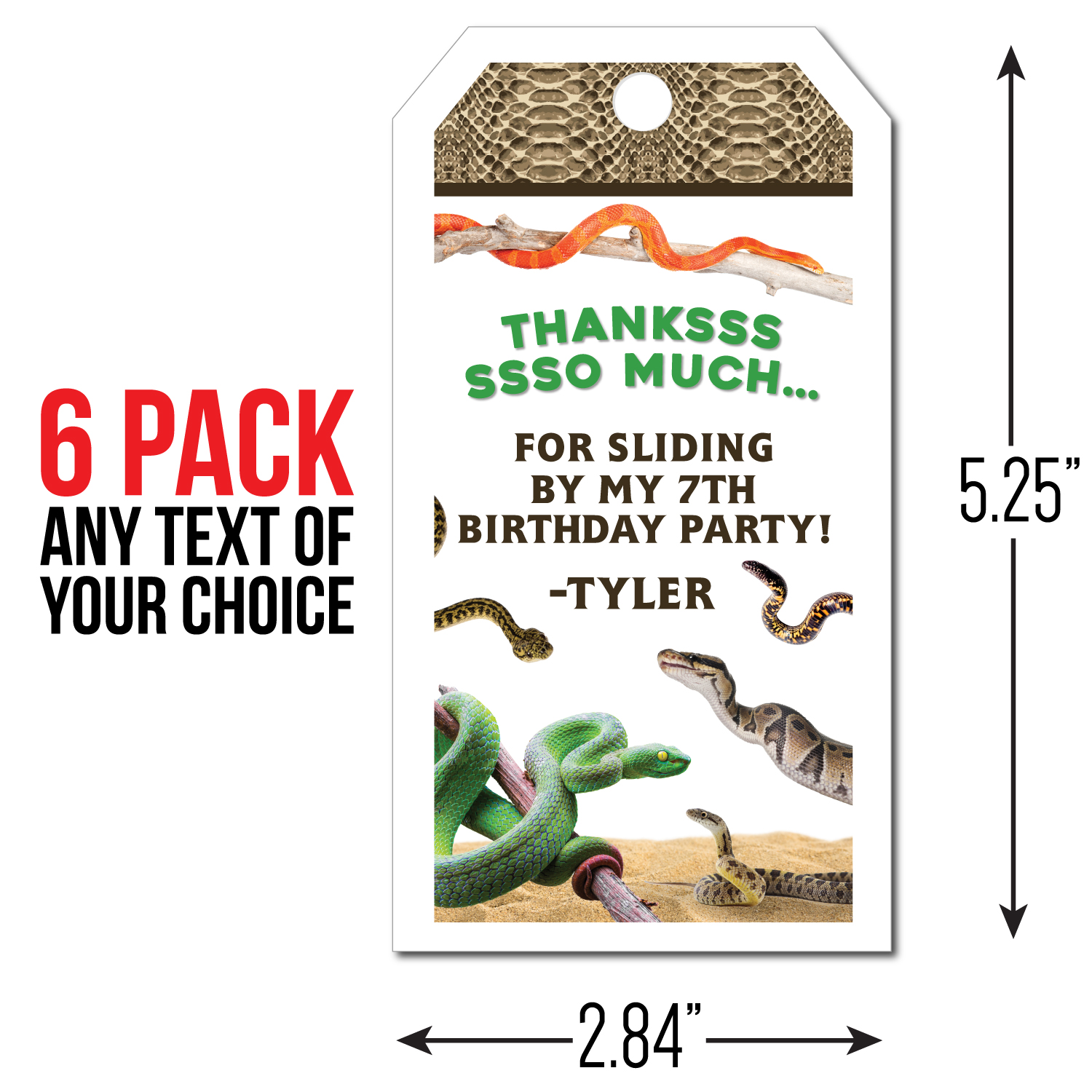 Reptile Party Supplies Party Supplies Canada Open A Party - 6 personalised roblox birthday party box or bag self