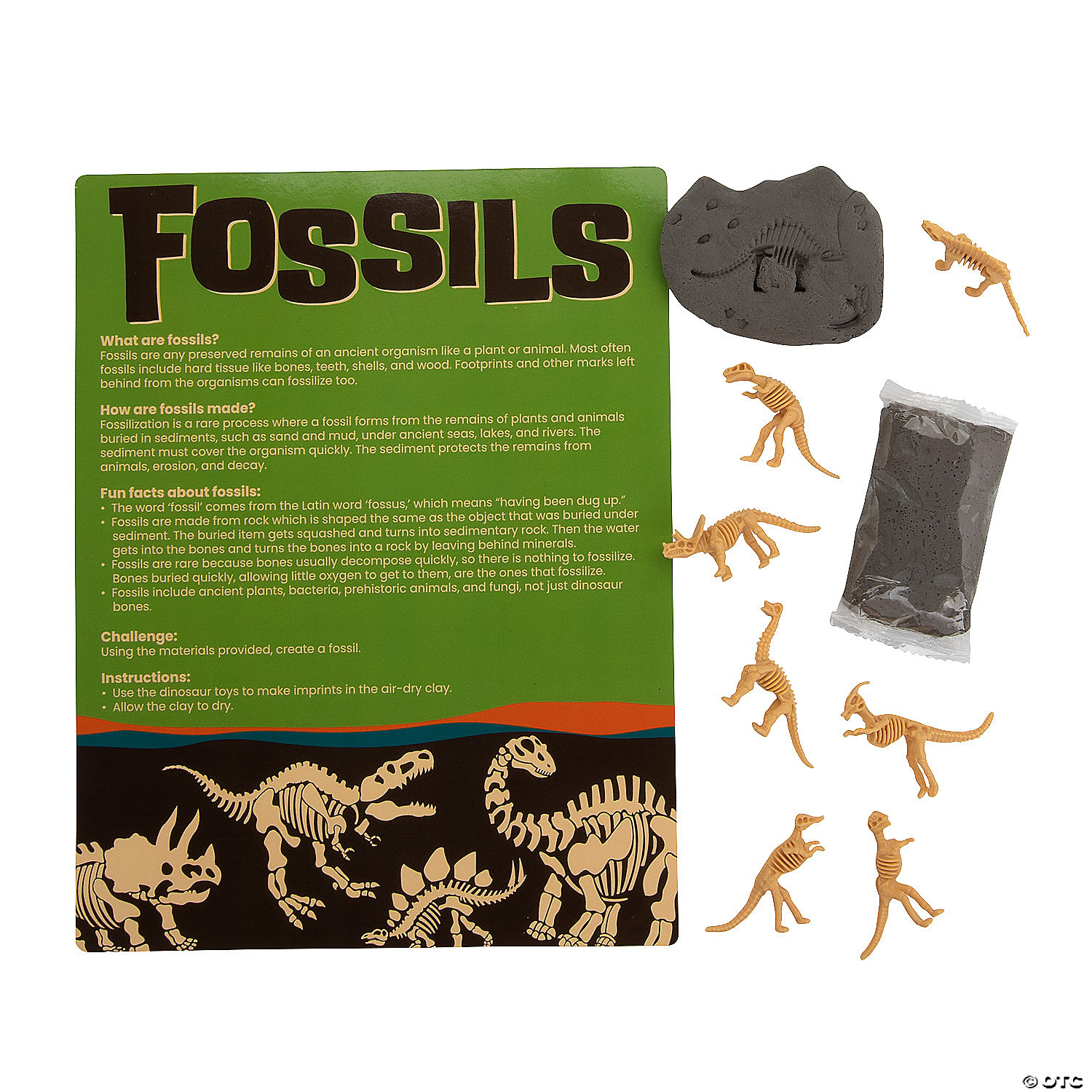 Make Your Own Fossil Craft Kit - 12Pk