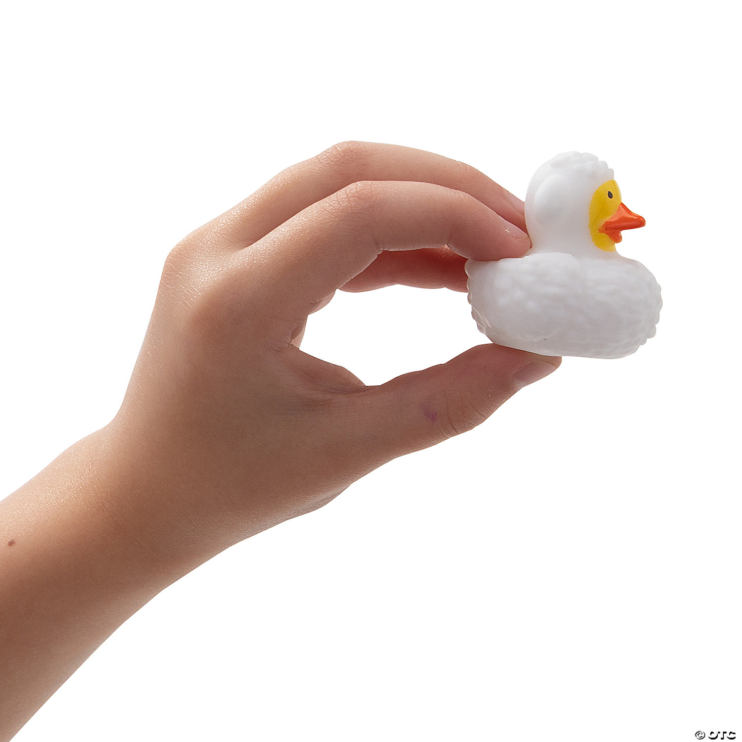 White Religious Lamb Rubber Ducks-24Pk