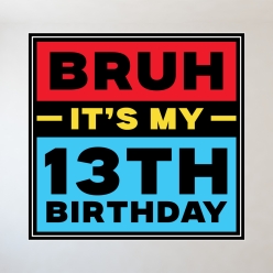 Bruh It's My 13th Birthday 12