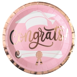 Pretty Pink & Metallic Graduation Dinner Plates 8pk