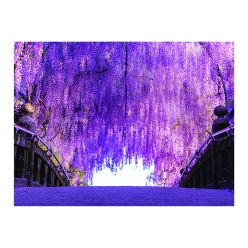 Purple Floral Polyester Backdrop