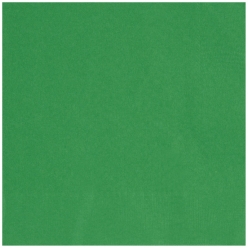 Green Lunch Napkins BIG 20 Pack
