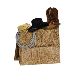 Western Party: 3D 12