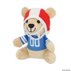 Football Fuzzy Stuffed Bears in Helmet & Jersey-12Pk