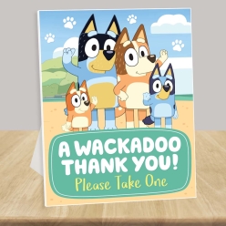 Bluey Favours 14