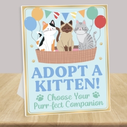 50% OFF: Adopt a Kitten Station 14