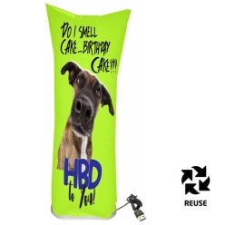 60% OFF: Funny Birthday Dog USB 24