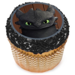 HTTYD 4 Cupcake Icing Toppers 12pk