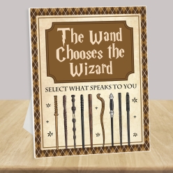 Harry Potter Wands Station 14