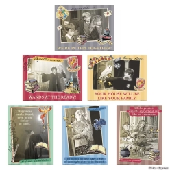 Harry Potter Classroom Posters - 6Pk