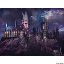 Harry Potter Hogwarts Castle Photobooth Backdrop