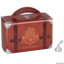 Harry Potter Hogwarts Favour Boxes-12Pk