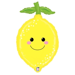 Lemon Produce Pal 29