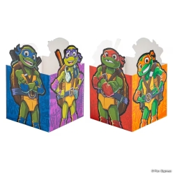 TMNT Character Favour Boxes -12Pk
