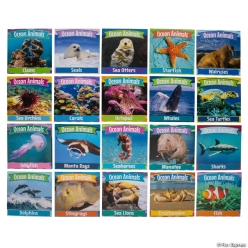 Ocean Animal Readers - 20Pk