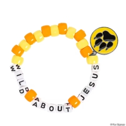 Wild Encounters VBS Bracelet Craft Kit-12Pk