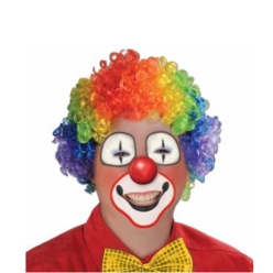 Rainbow Clown Afro Wig