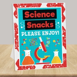 Science Snack Station 14