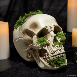 Mossy Decaying Plastic Skull Halloween Decoration Prop