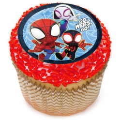 Spidey & Friends Cupcake Icing Toppers 12pk