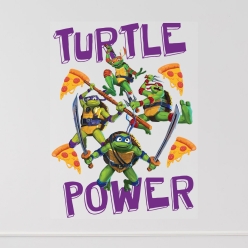 TMNT Turtle Power 12