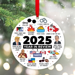 2025 Year In Review Ornament