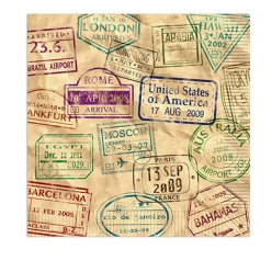 Around The World Deluxe 2-Ply Lunch Napkins - 16Pk