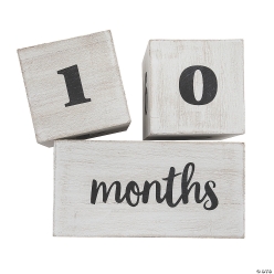Baby Milestone Wood Blocks