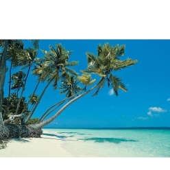 Tropical Beach Backdrop 9 ft. x 6 ft.