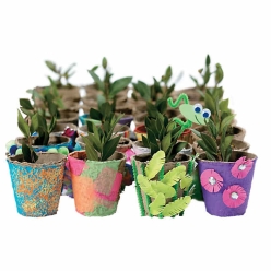 DIY Watch It Grow Biodegradable Seed Pots - 24 Pk