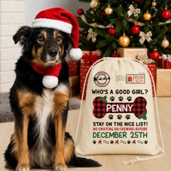 Dog Girl Christmas Plaid Custom Drawstring Backpack