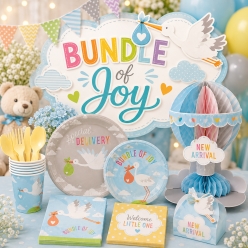 Bundle of Joy Baby Shower