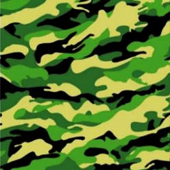 Camo Lunch Napkins - 10 PK