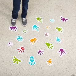 Classroom Pets Footprints Floor Clings - 50Pk