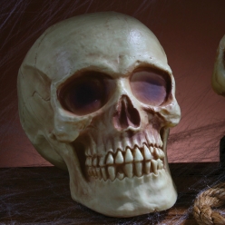 Plastic 8in Skull