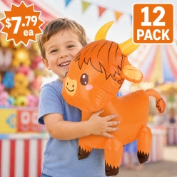 **Inflatable 24