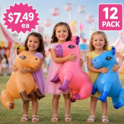 **Inflatable 24