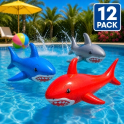 Inflatable 24