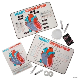 STEM Heart Circulation Activity Challenge Craft Kit-12Pk