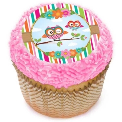 Owl Cupcake Icing Toppers 12pk