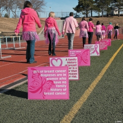 Pink Ribbon Facts Jumbo Yard Signs - 6 Pk