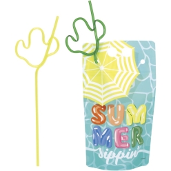 Summer Fun Pool Party 18oz Drink Pouches w/Crazy Straws -4 Sets
