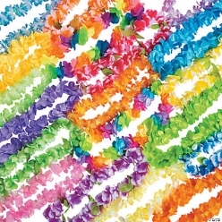 Premium Lei Assortment - 48Pk