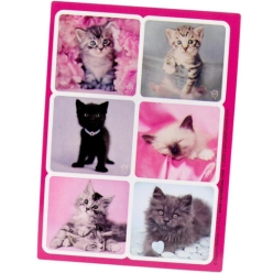 Glamour Cats Sticker Sheets 4PK