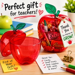 Teacher Red Apple Gift Container